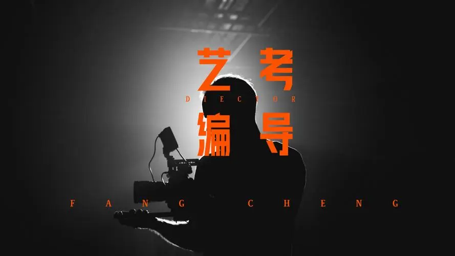 编导专业艺考文化课需要多少分？