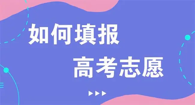 志愿填报流程