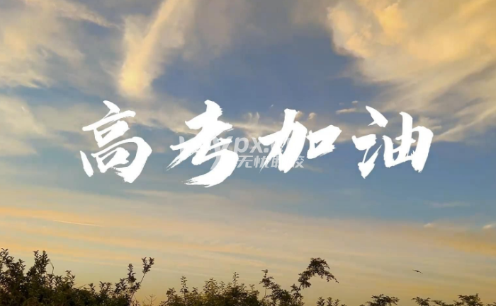 备战2025高考：现在开始该做什么