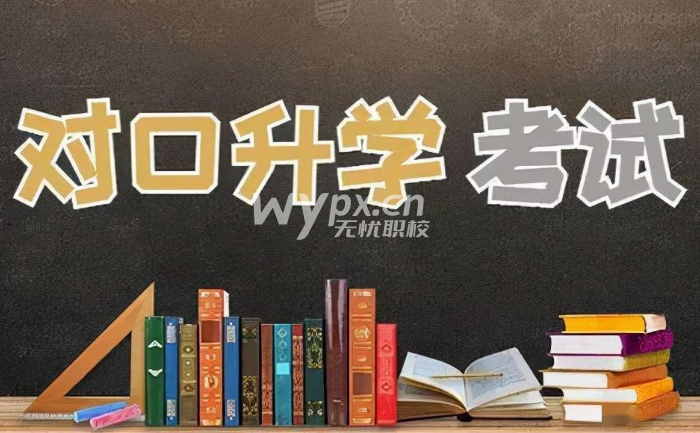 什么是对口高考可以考本科吗