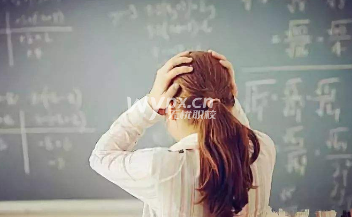 孩子初二不想上学了,能学点什么