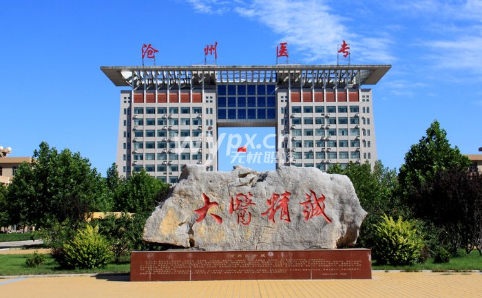 沧州医学高等专科学校2025年普通高等职业教育单独考试招生简章