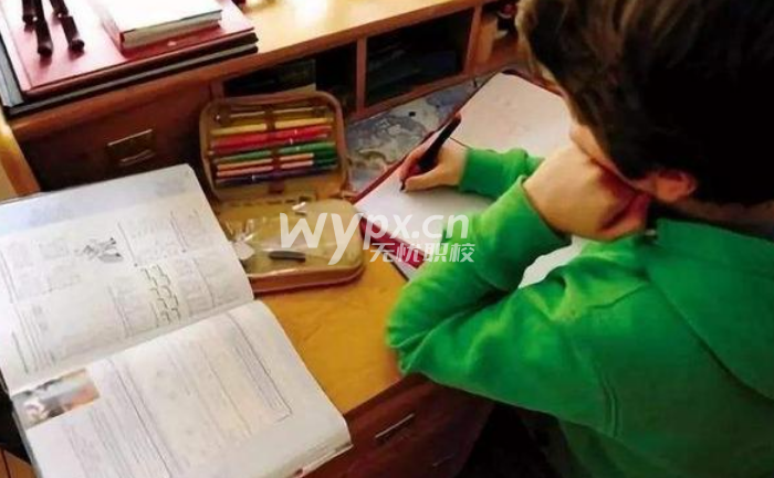 初二学生不想读书了,可以去学技术吗